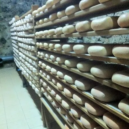 Calrei Lles